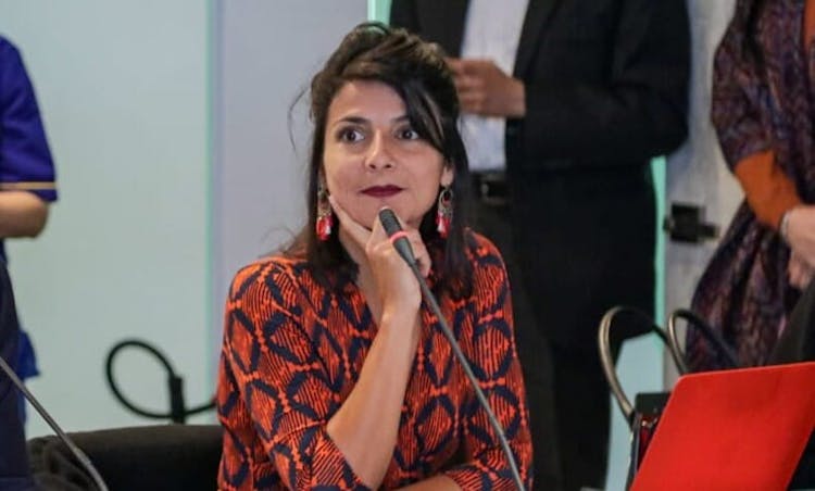 Irene Vélez Torres
